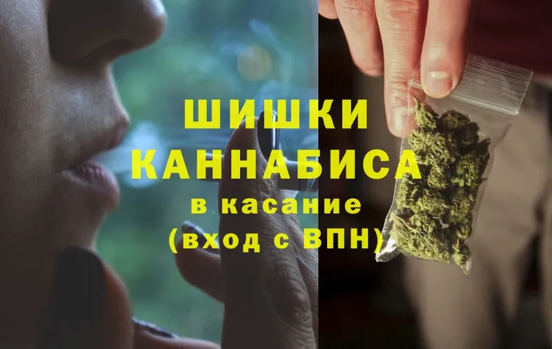 блэк спрут ССЫЛКА  Тавда  Шишки марихуана Bruce Banner  цена  